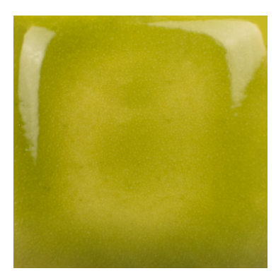 BOWL SUN AND STRIPES