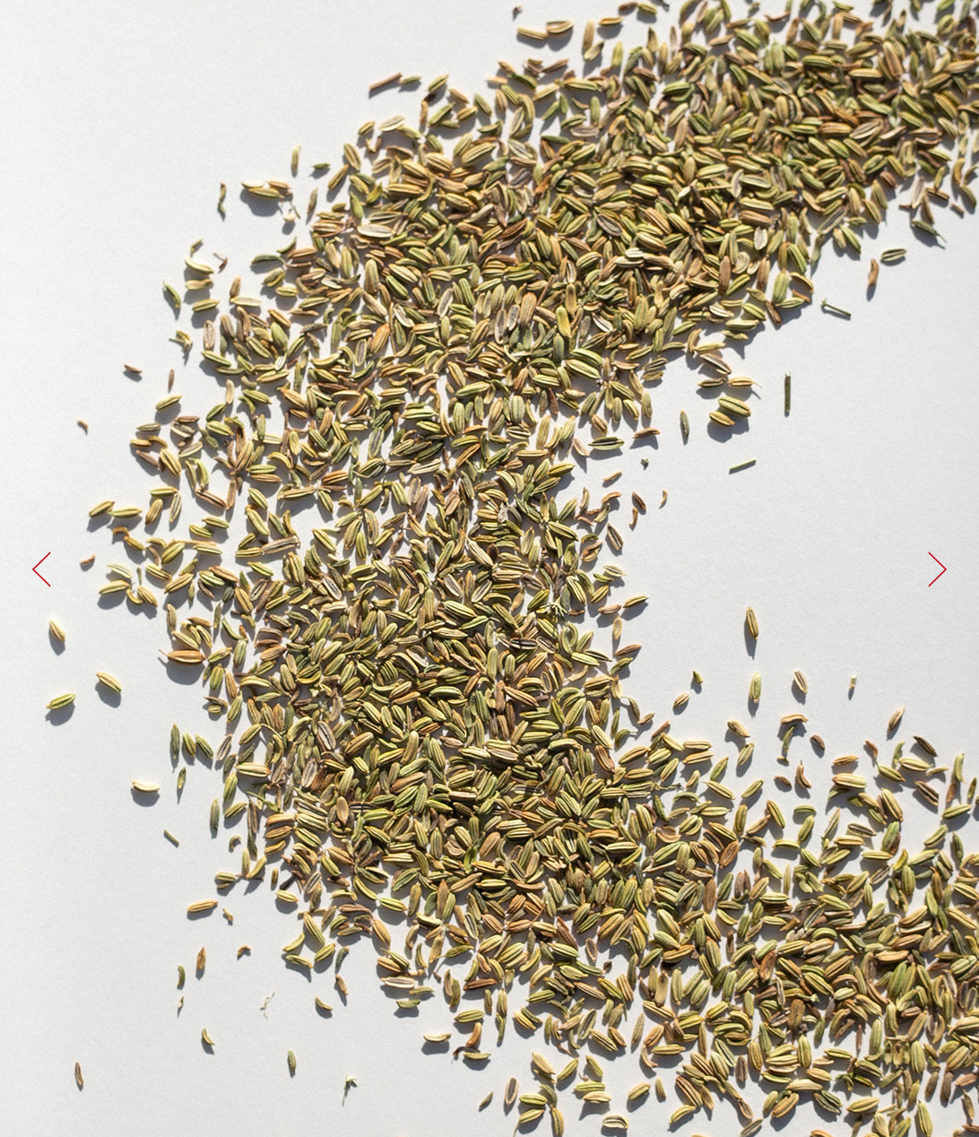 Fennel Seeds