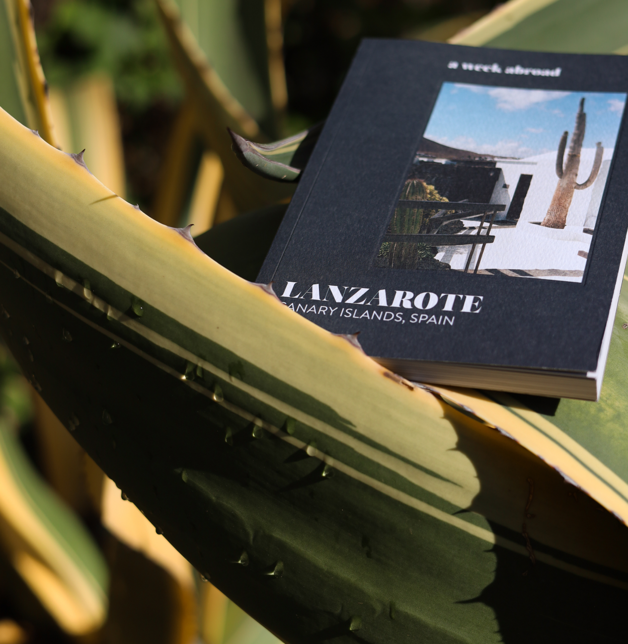 Lanzarote boek